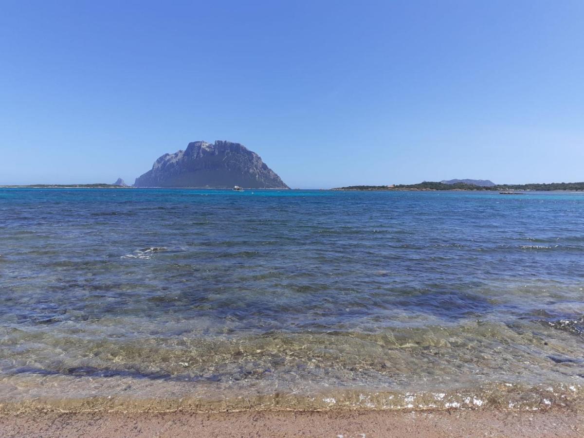 Siisa Appartamento La Muddizza Valledoria A 500 Mt Dal Mare Eksteriør billede