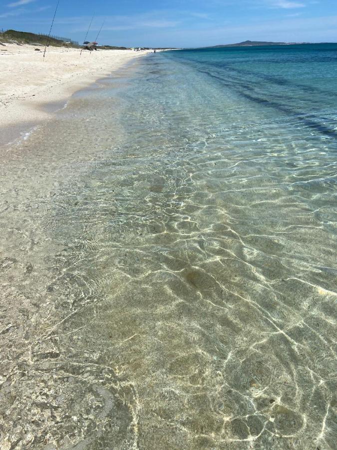 Siisa Appartamento La Muddizza Valledoria A 500 Mt Dal Mare Eksteriør billede
